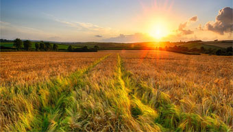 Why how to do land registration: Part 4/9