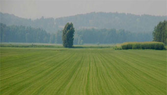 Why how to do land registration: Part 8/9