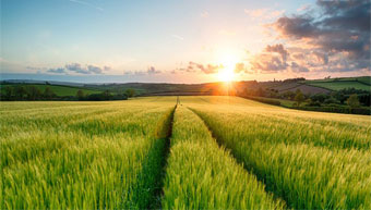 Why how to do land registration: Part 6/9